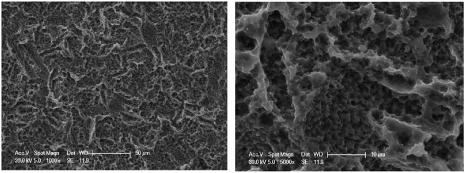 microscopia